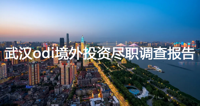 武漢odi境外投資盡職調(diào)查報(bào)告